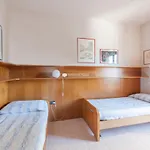 El Palmar Da Colla *